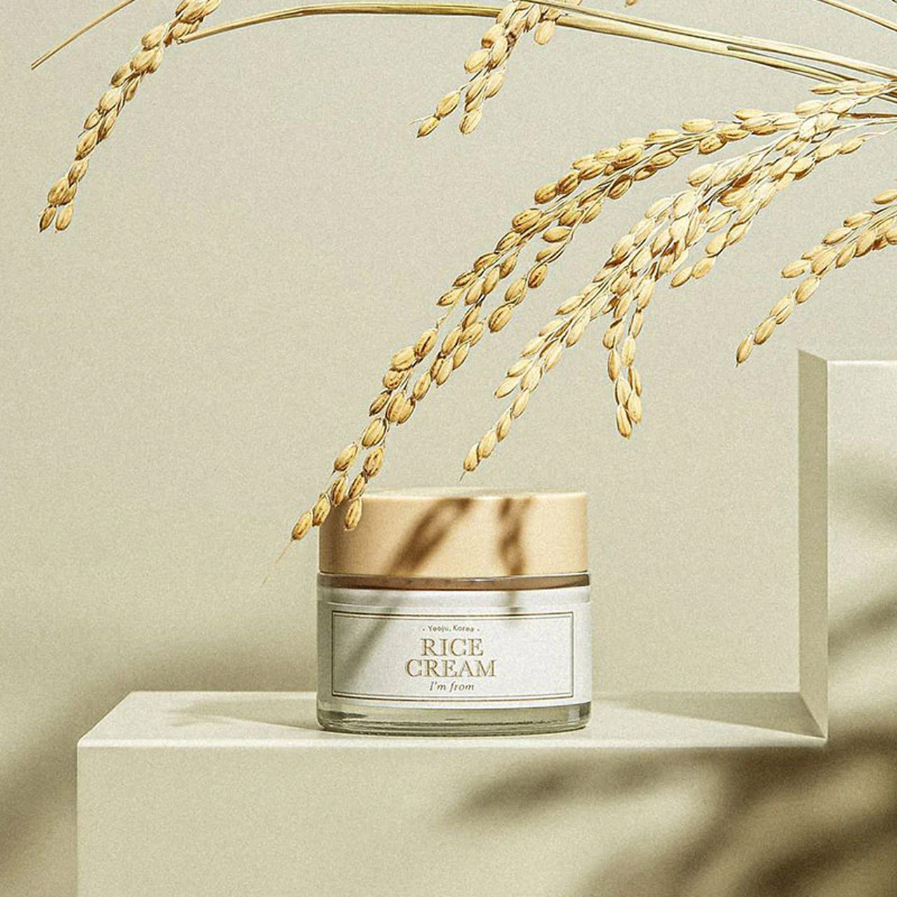 Rice Cream 50ml