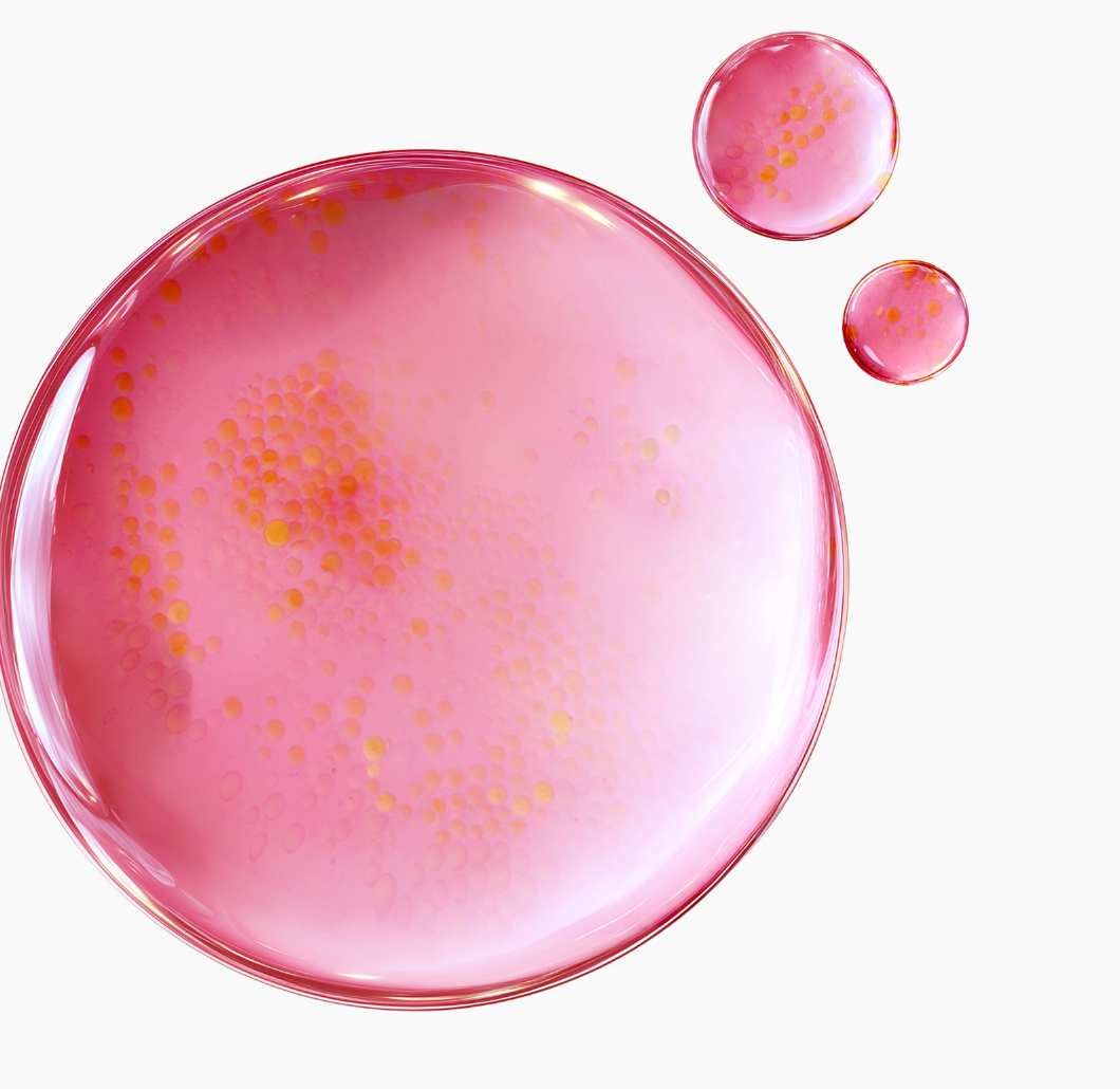 Purito Seoul TXA 6 Niacinamide 10 Retinal Serum 30ml