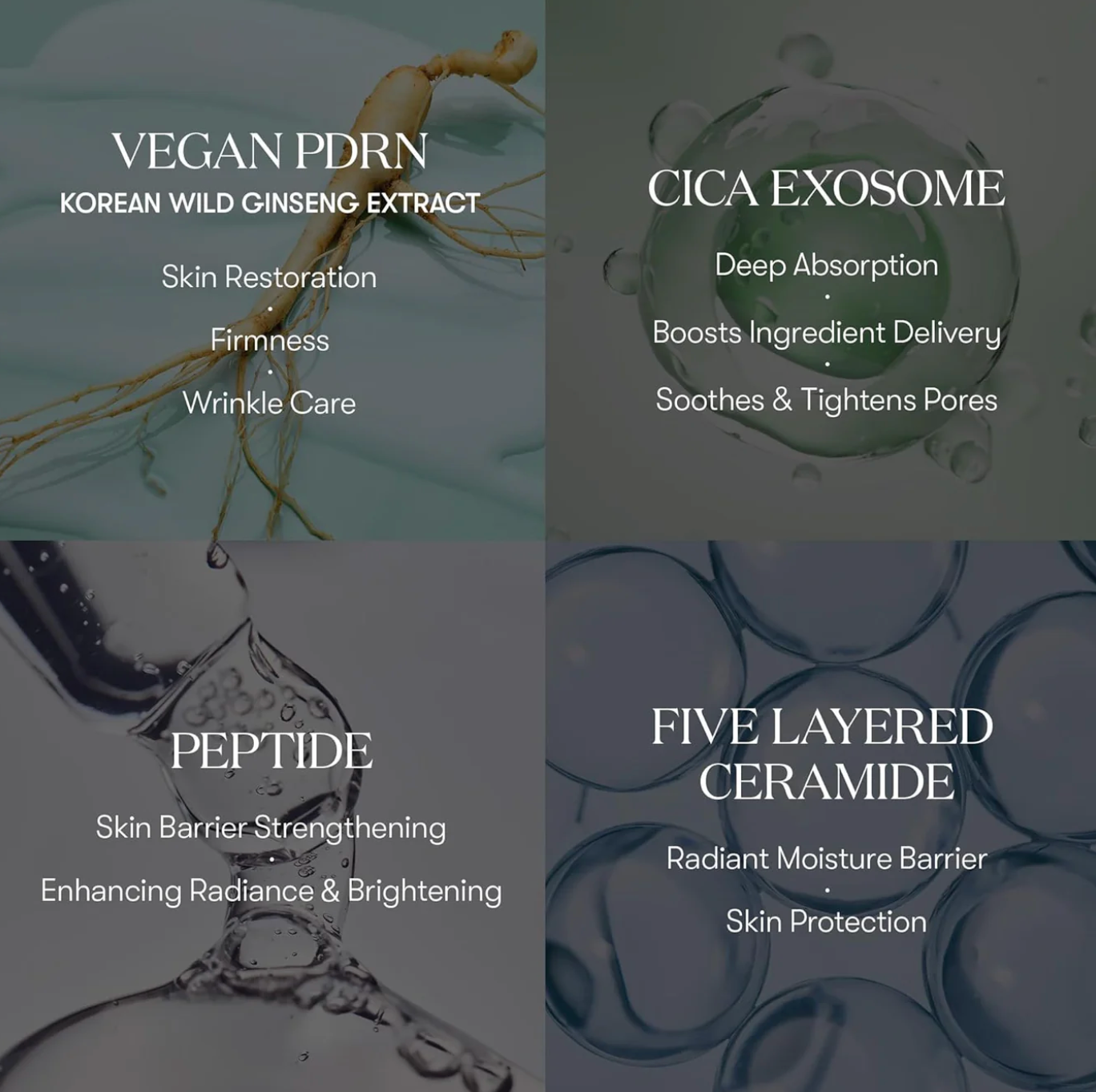 VT Cosmetics PDRN R5 Firming Ampoule 30ml - Suunsu Korean skincare