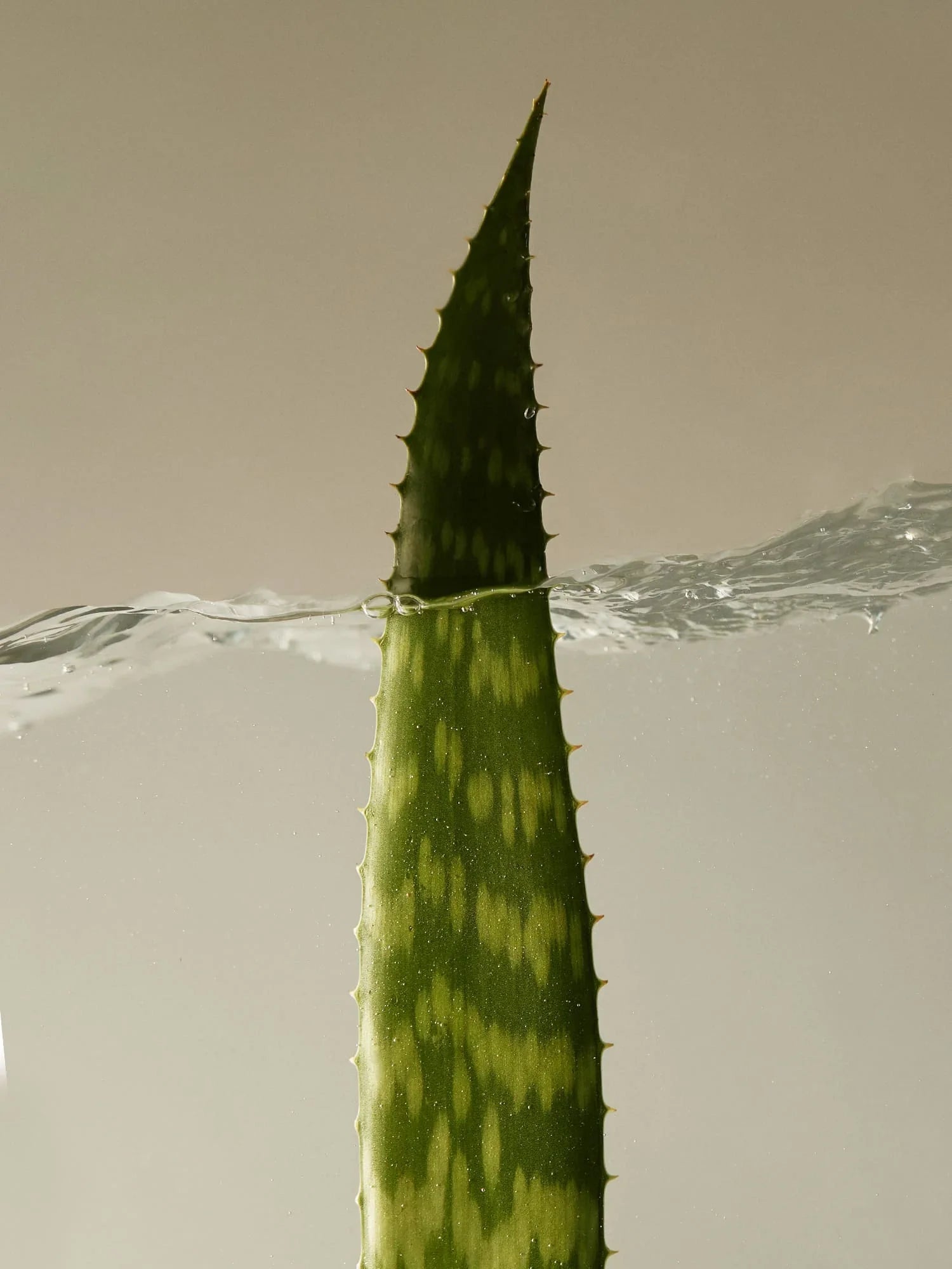 Organic Aloe Vera Gel 300ml